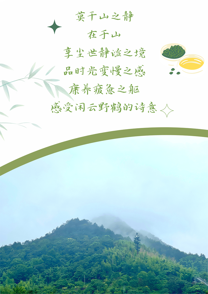 心心念廿 相伴AG真人官方网 | 与德清相约 贺廿载诞辰